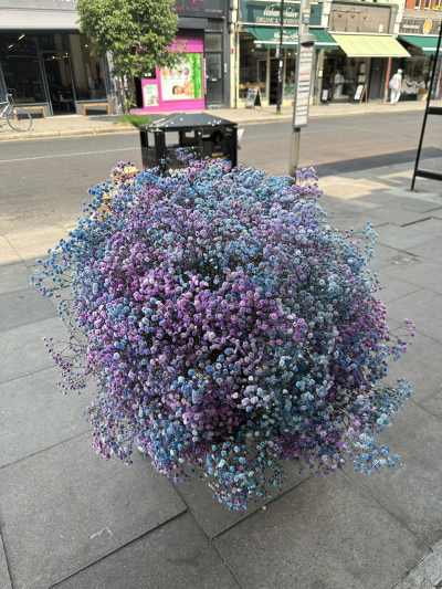 raibow - with all the rainbow coulors gyp you got what you want to say