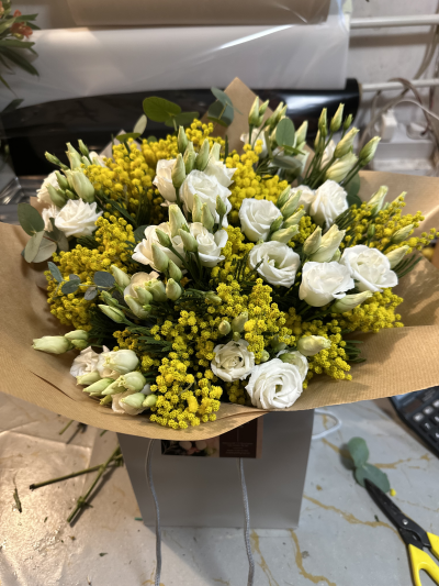 Mimosa - The mimosa will only be here for a short while